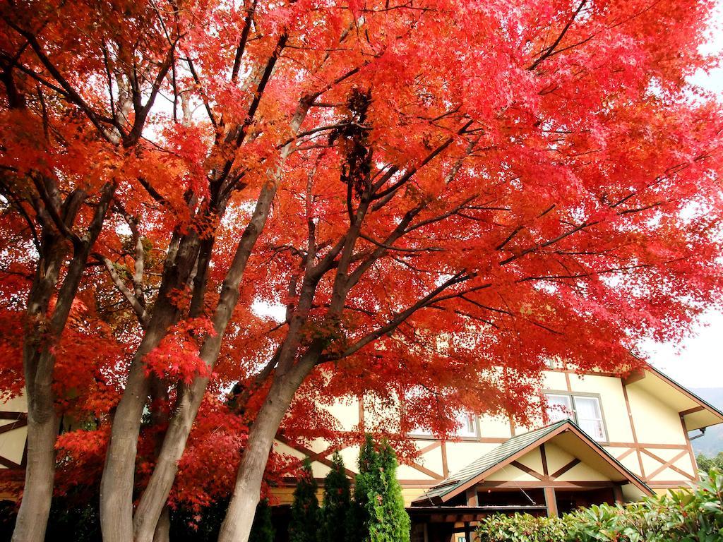 Lake Villa Kawaguchiko Fujikawaguchiko Esterno foto