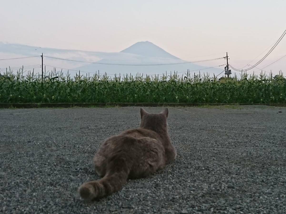 Lake Villa Kawaguchiko Fujikawaguchiko Esterno foto