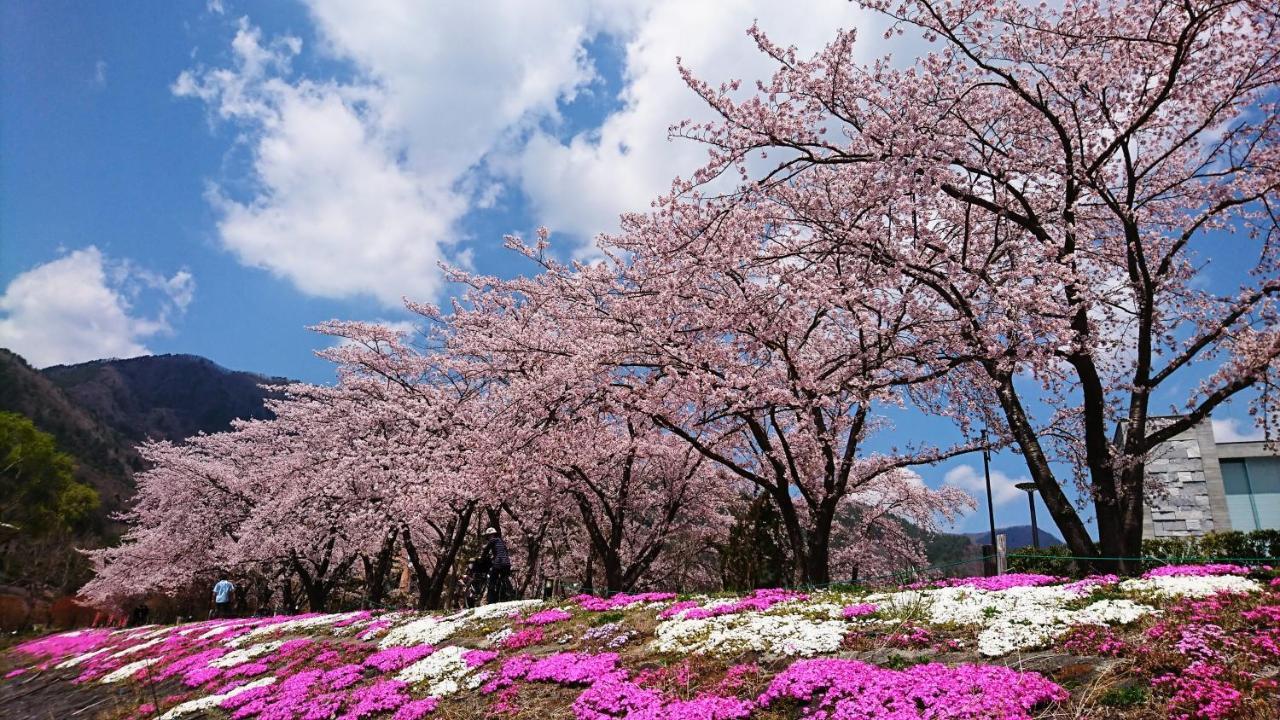 Lake Villa Kawaguchiko Fujikawaguchiko Esterno foto